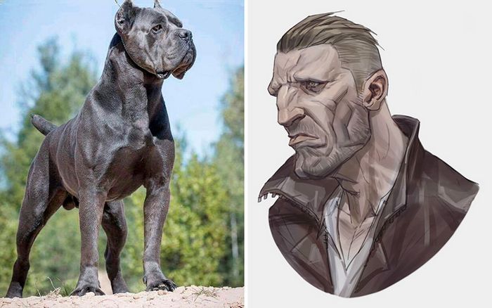 Este artista usa animais como inspiração para criar personagens originais de anime (23 fotos) 22