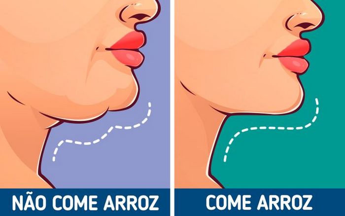 7 fatos sobre arroz para ajudar você viver melhor 1