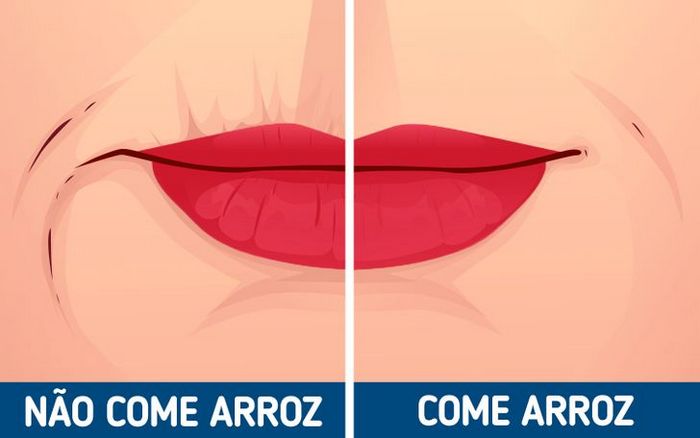 7 fatos sobre arroz para ajudar você viver melhor 2