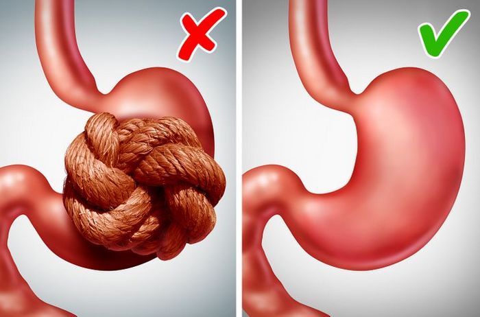 7 fatos sobre arroz para ajudar você viver melhor 5