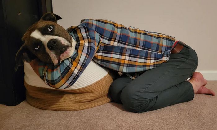 22 fotos que mostram que tudo é uma questão de ângulos 4