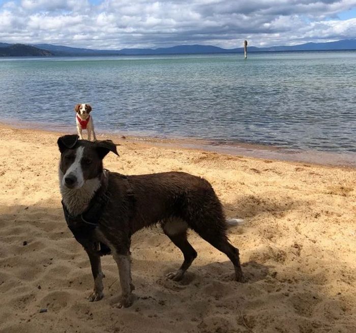 22 fotos que mostram que tudo é uma questão de ângulos 8