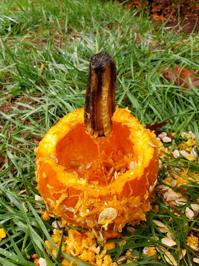 22 fotos que mostram que tudo é uma questão de ângulos 16