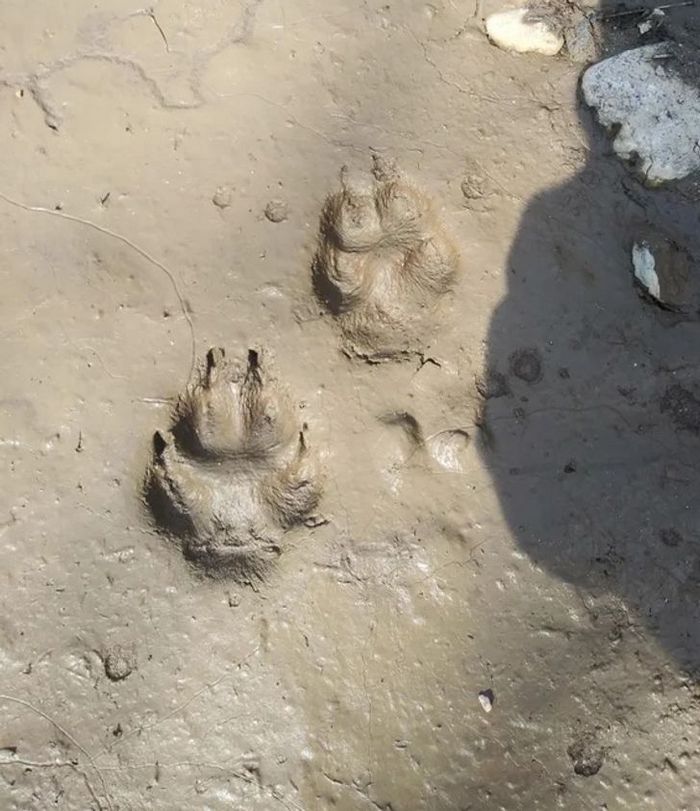 22 fotos que mostram que tudo é uma questão de ângulos 19