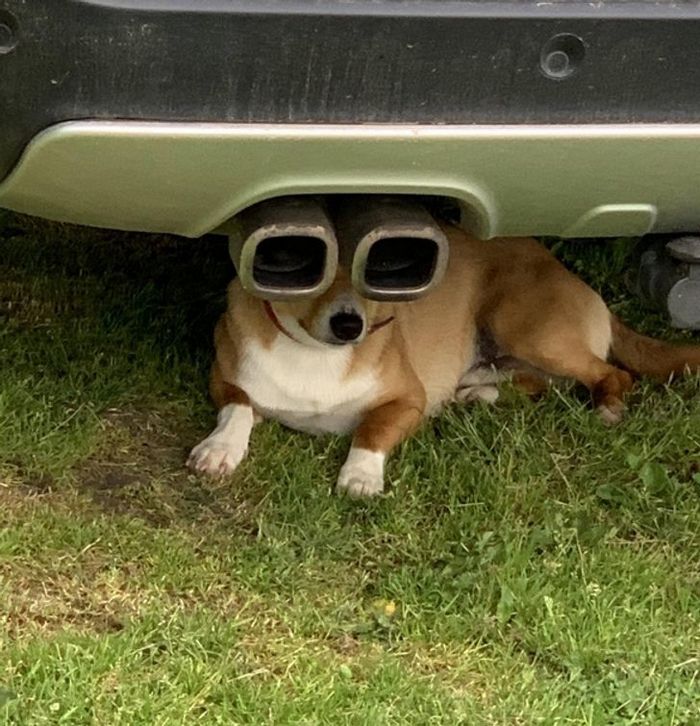 22 fotos que mostram que tudo é uma questão de ângulos 21