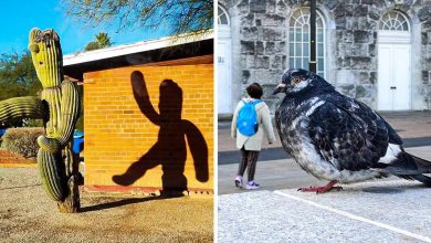 22 fotos que mostram que tudo é uma questão de ângulos 16