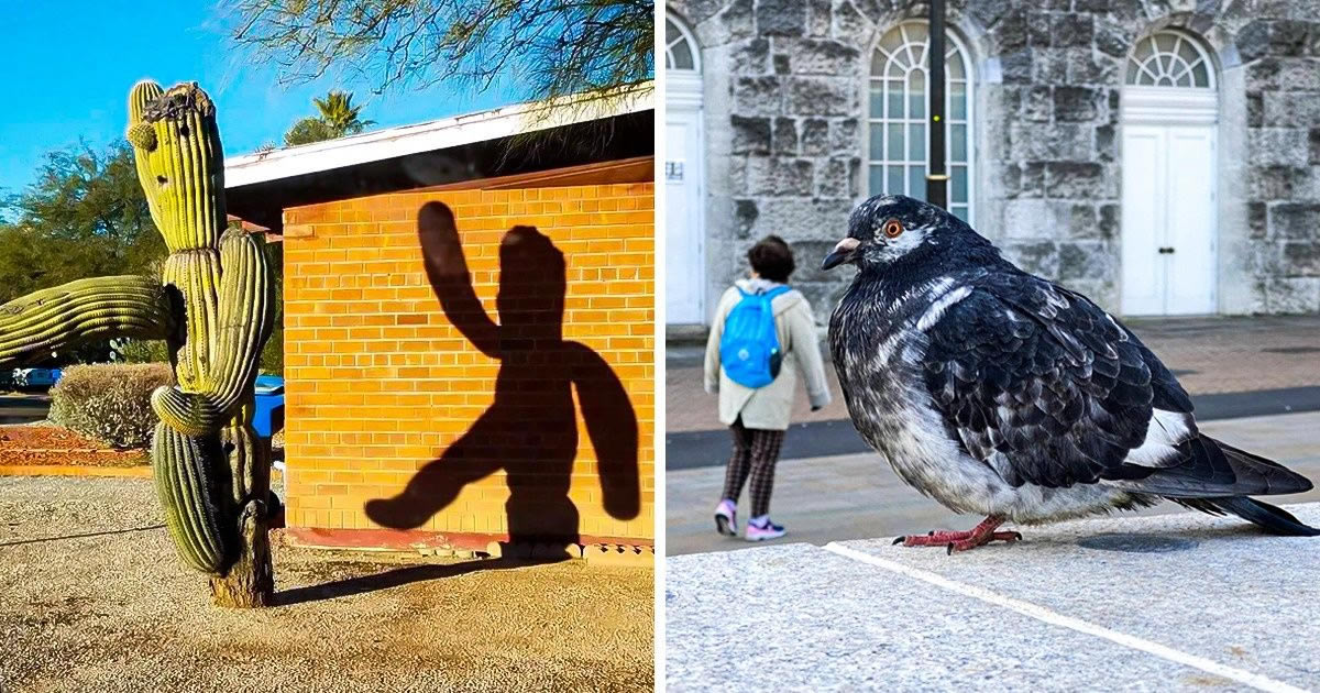 22 fotos que mostram que tudo é uma questão de ângulos