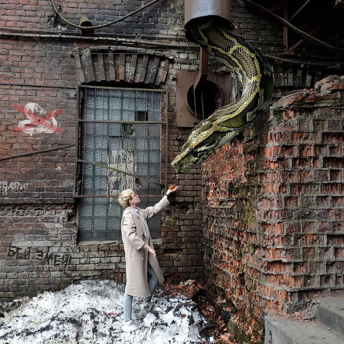 30 montagem de fotos inesperadas com animais gigantes por Vadim Solovyev 6