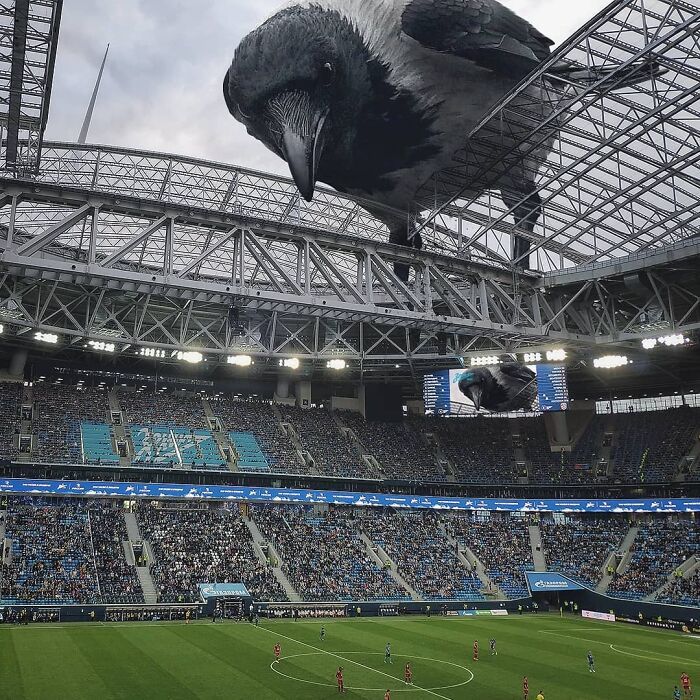 30 montagem de fotos inesperadas com animais gigantes por Vadim Solovyev 12