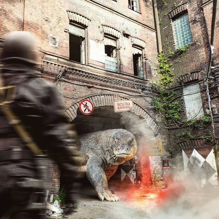 30 montagem de fotos inesperadas com animais gigantes por Vadim Solovyev 13