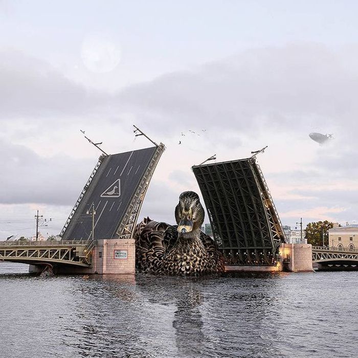 30 montagem de fotos inesperadas com animais gigantes por Vadim Solovyev 29