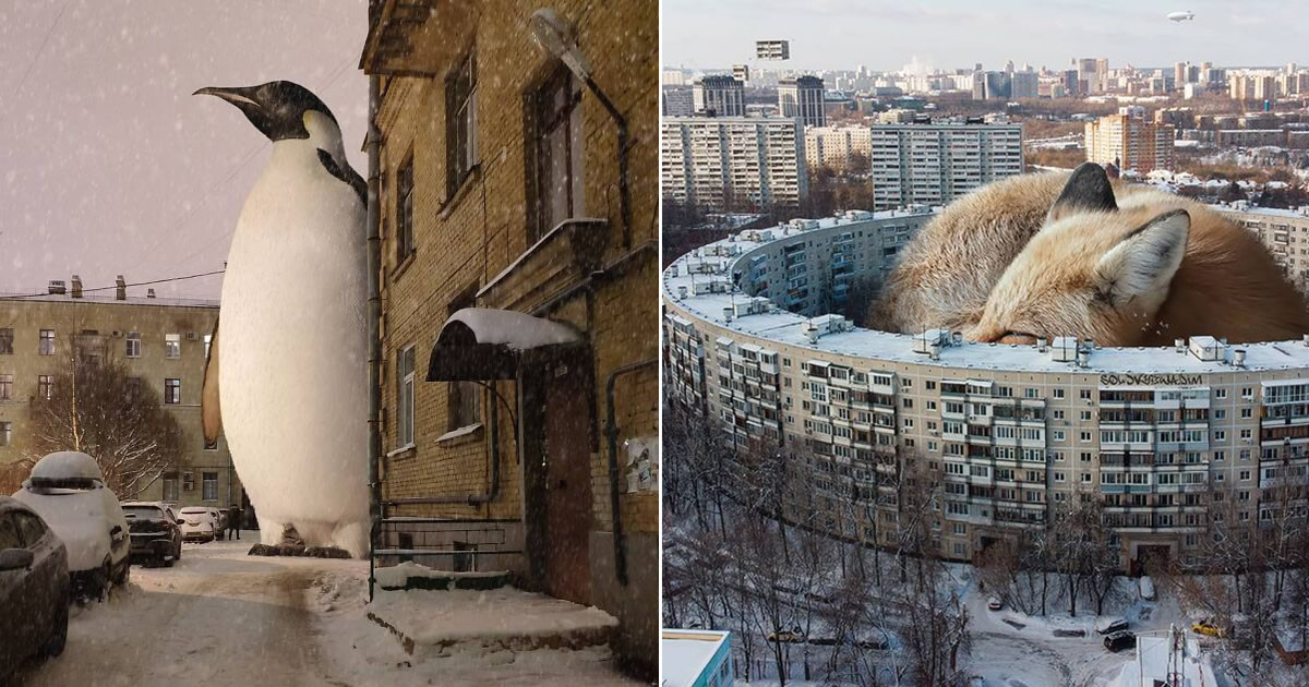 30 montagem de fotos inesperadas com animais gigantes por Vadim Solovyev