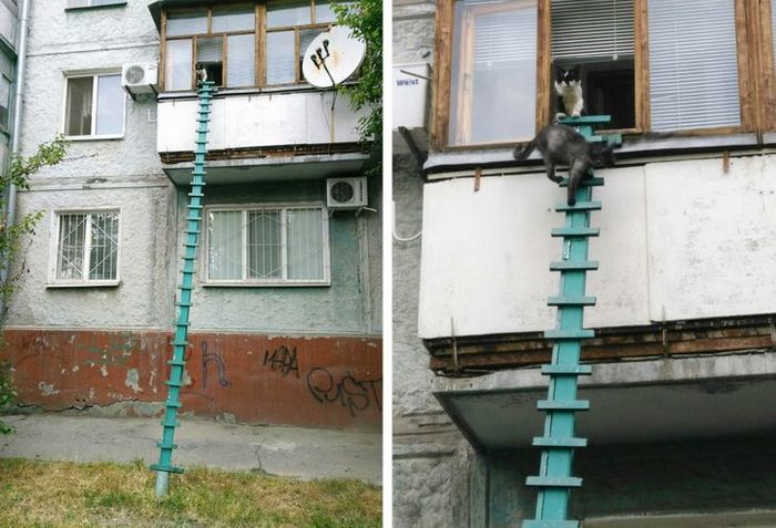 19 pessoas que pensaram fora da caixinha 15