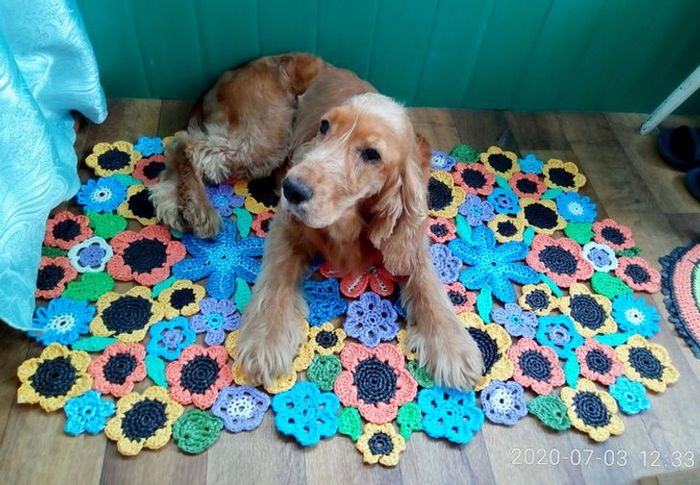 19 pessoas que pensaram fora da caixinha 19