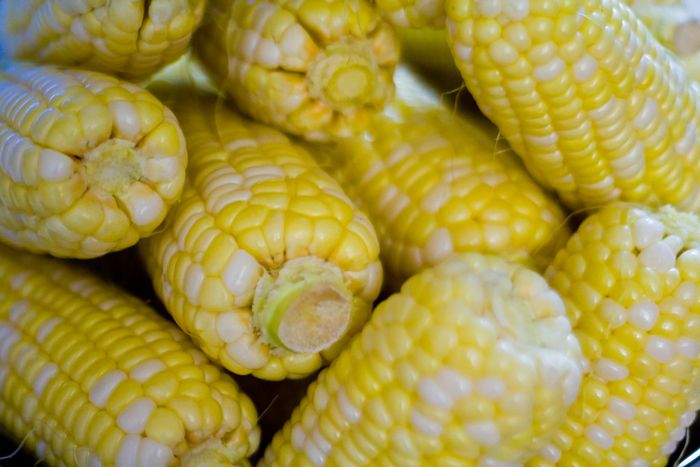 59 usos surpreendentes do micro-ondas que você provavelmente não sabia 36