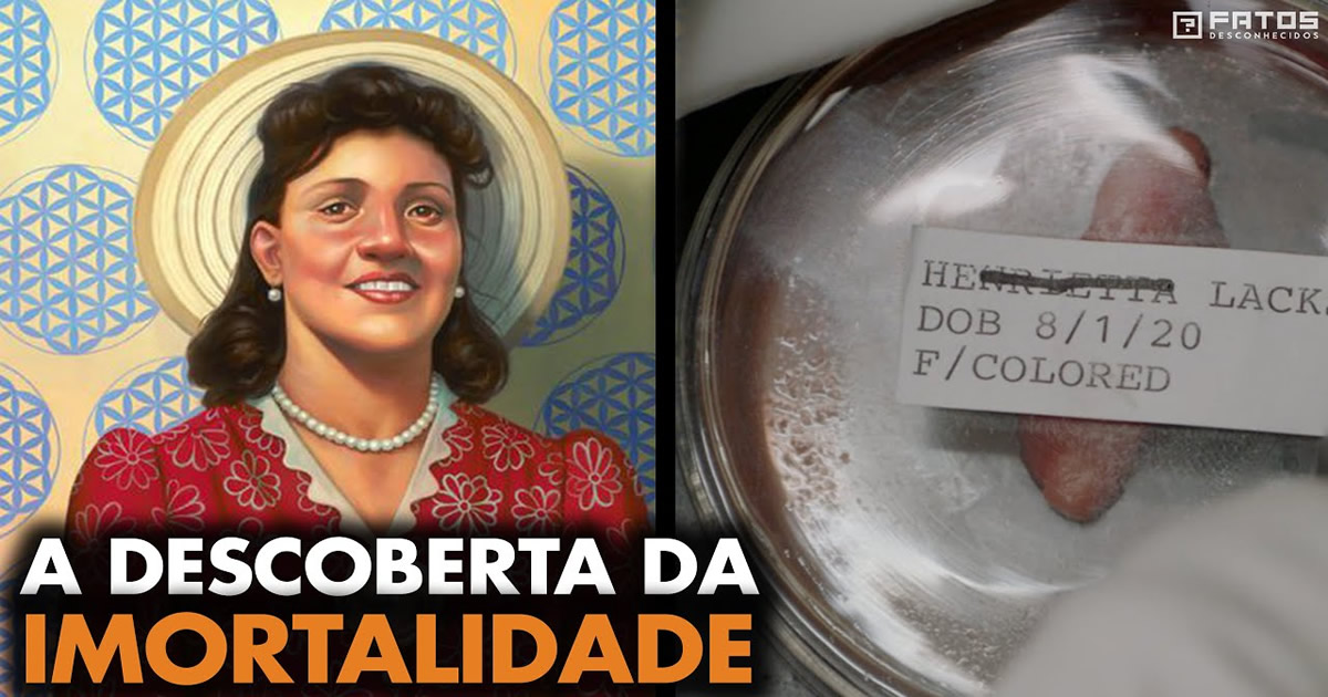 Conheça a mulher que vai estar viva daqui 1.000 anos