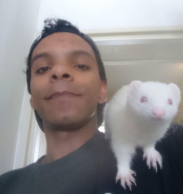 20 animais diferentes que podem fazer parte da sua família 4