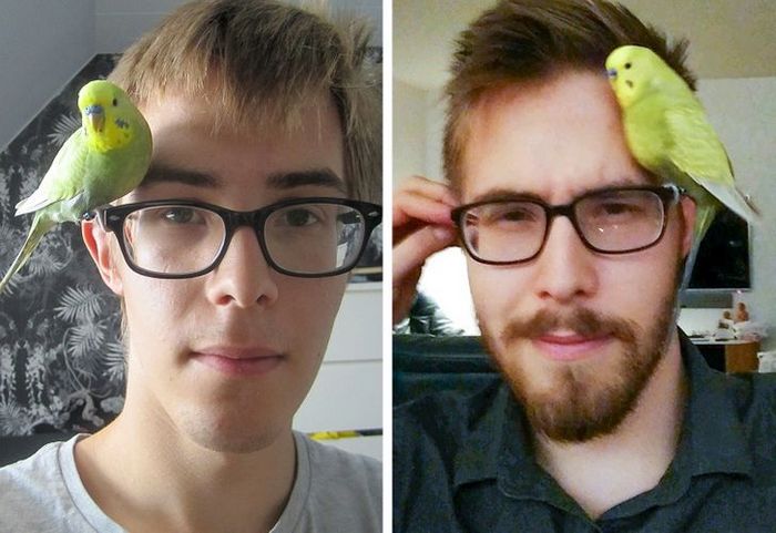 20 animais diferentes que podem fazer parte da sua família 18