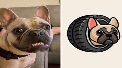 Artista cria adoráveis ilustrações inspiradas em coisas aleatórias (40 fotos) 54