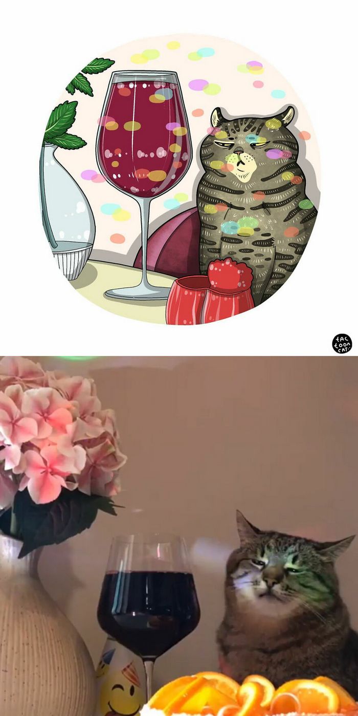 Artista transforma fotos engraçadas de gatos em ilustrações (35 fotos) 4
