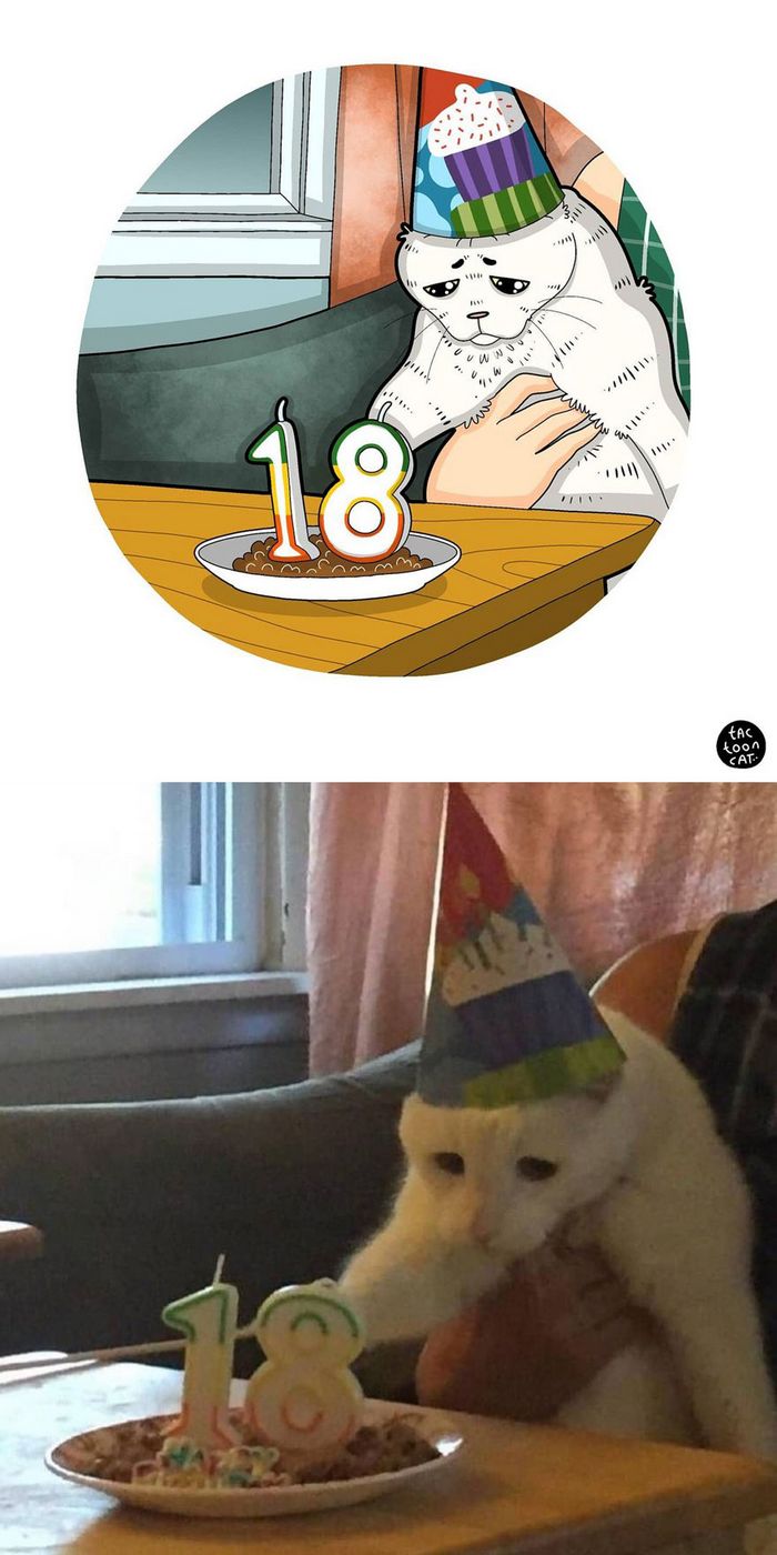 Artista transforma fotos engraçadas de gatos em ilustrações (35 fotos) 5