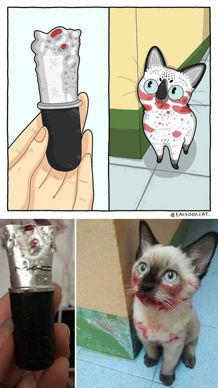 Artista transforma fotos engraçadas de gatos em ilustrações (35 fotos) 7