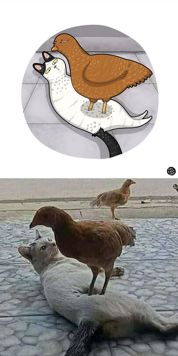 Artista transforma fotos engraçadas de gatos em ilustrações (35 fotos) 10