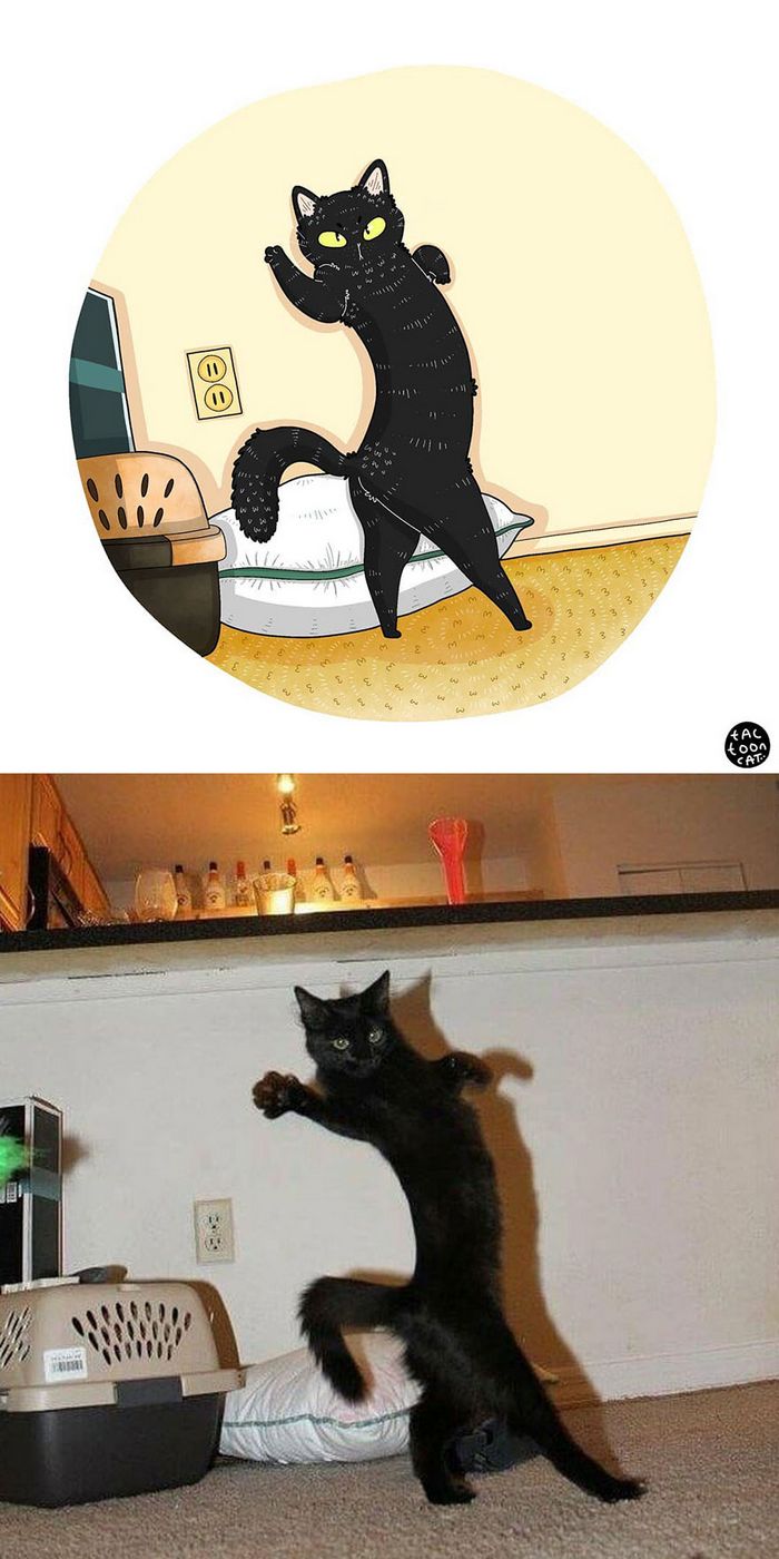 Artista transforma fotos engraçadas de gatos em ilustrações (35 fotos) 13