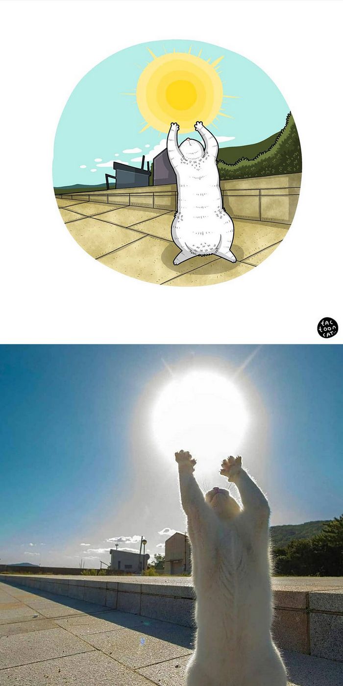 Artista transforma fotos engraçadas de gatos em ilustrações (35 fotos) 14