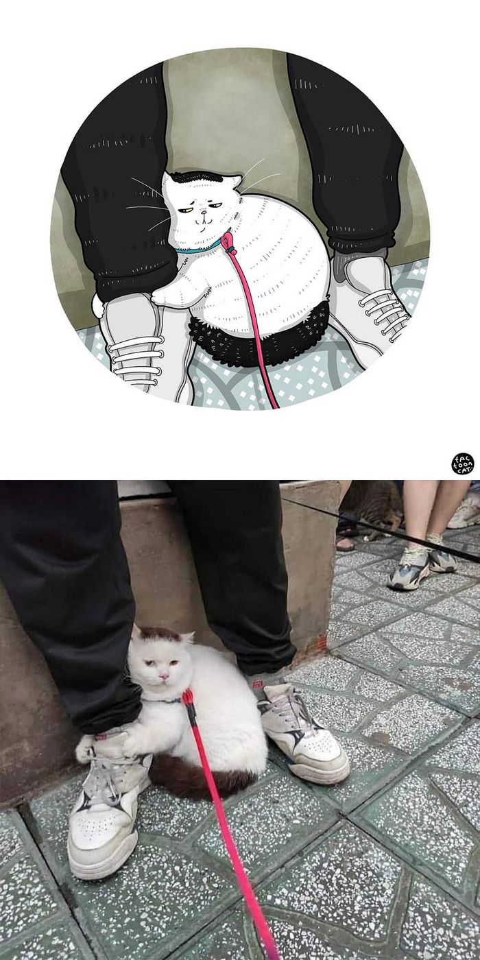 Artista transforma fotos engraçadas de gatos em ilustrações (35 fotos) 18