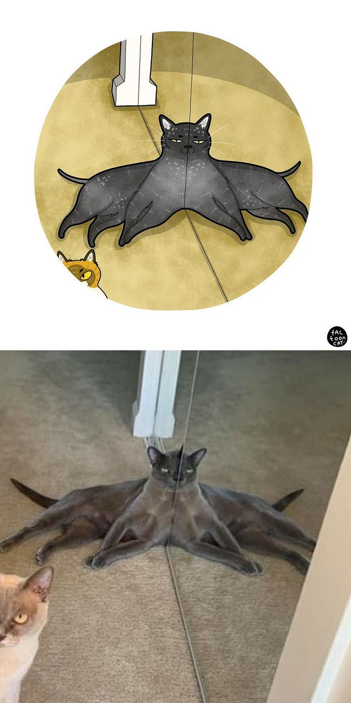 Artista transforma fotos engraçadas de gatos em ilustrações (35 fotos) 22