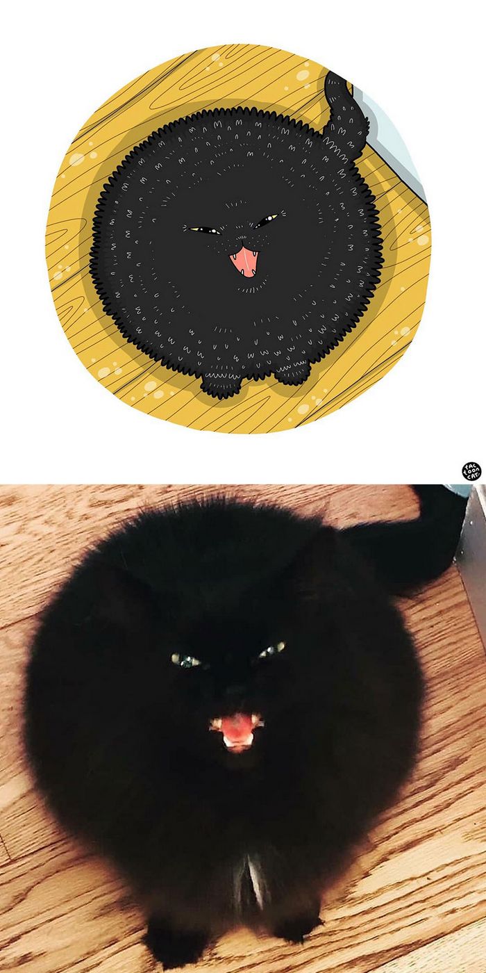 Artista transforma fotos engraçadas de gatos em ilustrações (35 fotos) 25