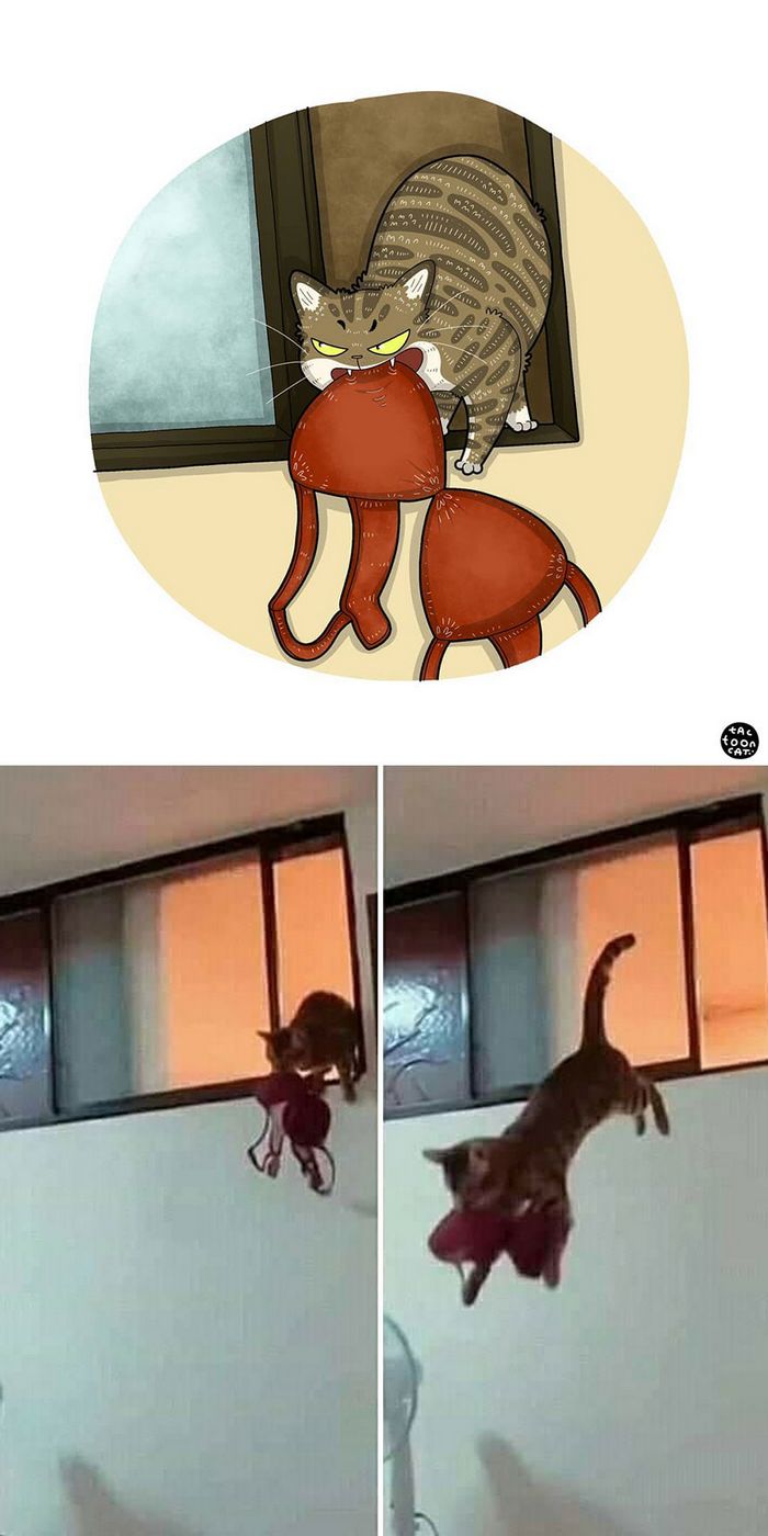 Artista transforma fotos engraçadas de gatos em ilustrações (35 fotos) 32