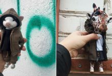 42 bonecos de animais de barro com roupas da moda 8