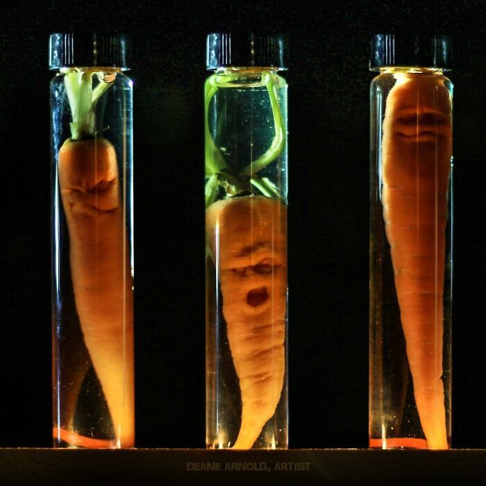 38 esculturas de frutas e vegetais inspiradas na cultura pop, terror, fantasia 11