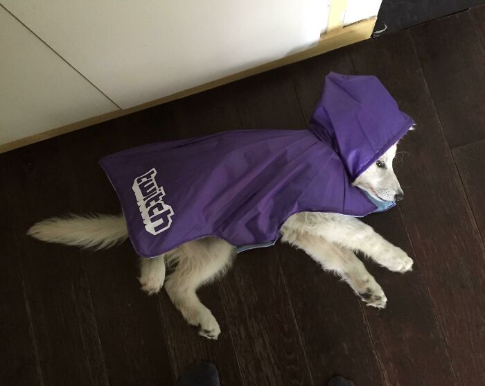 27 exemplos inspiradores de pessoas trazendo coisas antigas de volta à vida 18