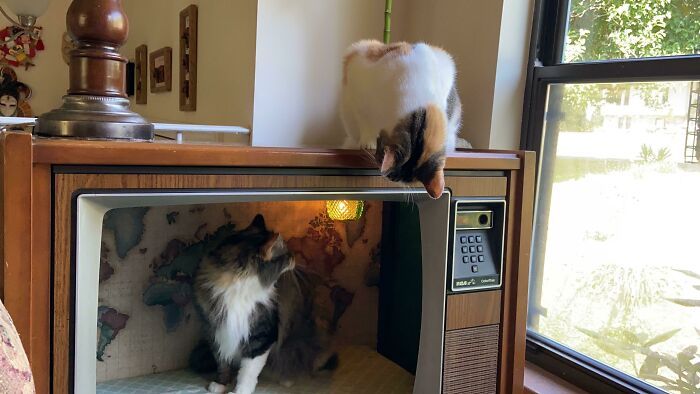 27 exemplos inspiradores de pessoas trazendo coisas antigas de volta à vida 24