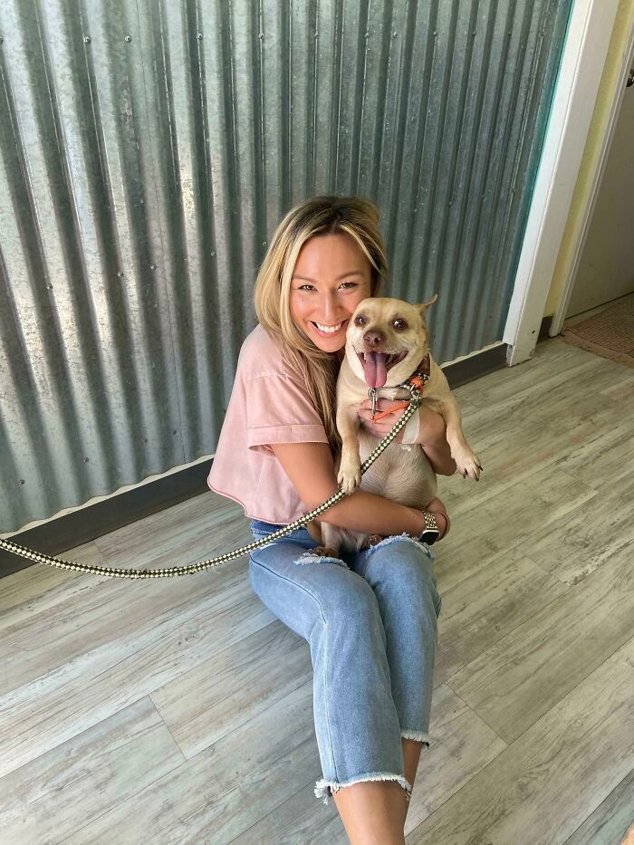 38 fotos do mês de Junho de bichinhos de resgate mais saudáveis 12