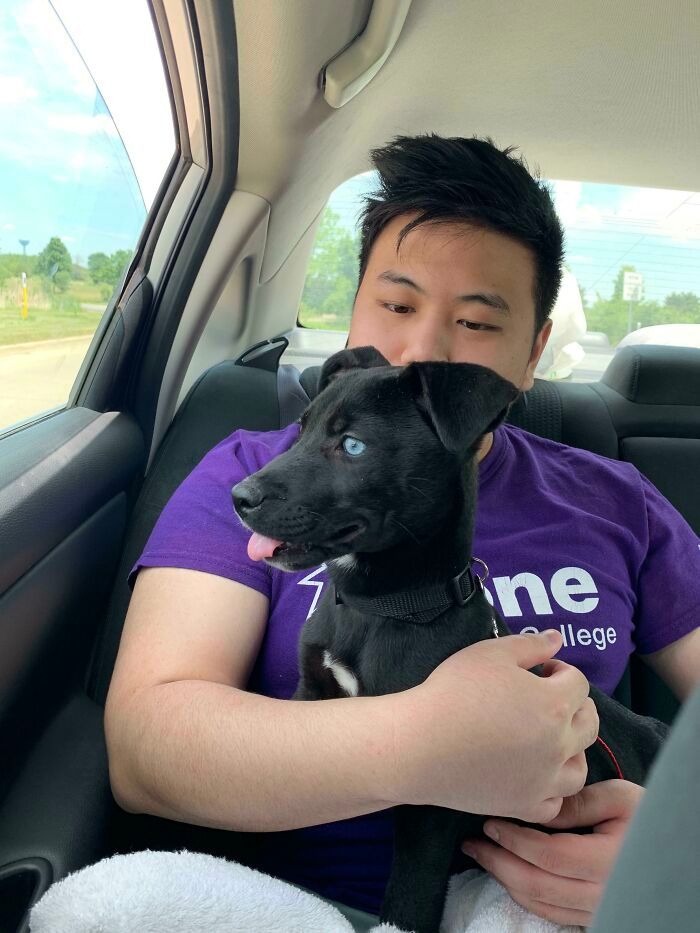 38 fotos do mês de Junho de bichinhos de resgate mais saudáveis 25