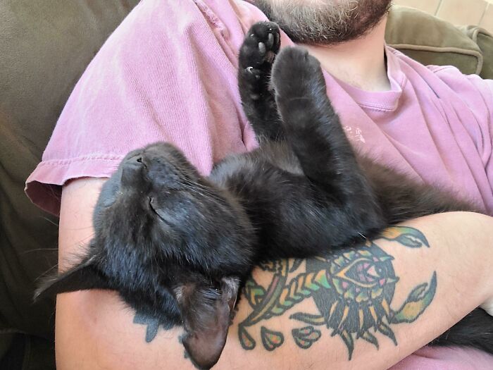 38 fotos do mês de Junho de bichinhos de resgate mais saudáveis 26