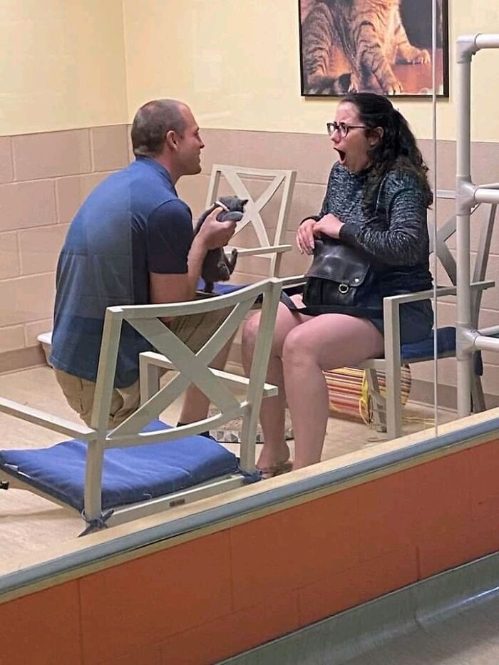 38 fotos do mês de Junho de bichinhos de resgate mais saudáveis 32