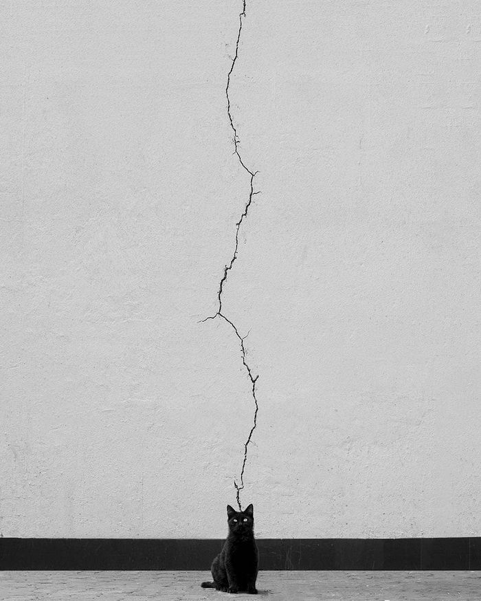 21 fotos que provam que todos podem encontrar a perfeição, mesmo nas coisas do dia a dia 2