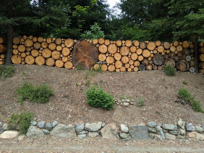 21 fotos que provam que todos podem encontrar a perfeição, mesmo nas coisas do dia a dia 5