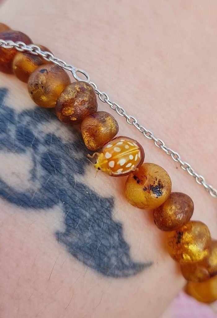 21 fotos que provam que todos podem encontrar a perfeição, mesmo nas coisas do dia a dia 19