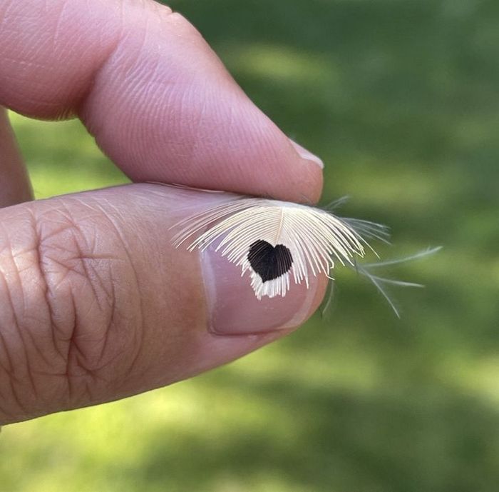 21 fotos que provam que todos podem encontrar a perfeição, mesmo nas coisas do dia a dia 20