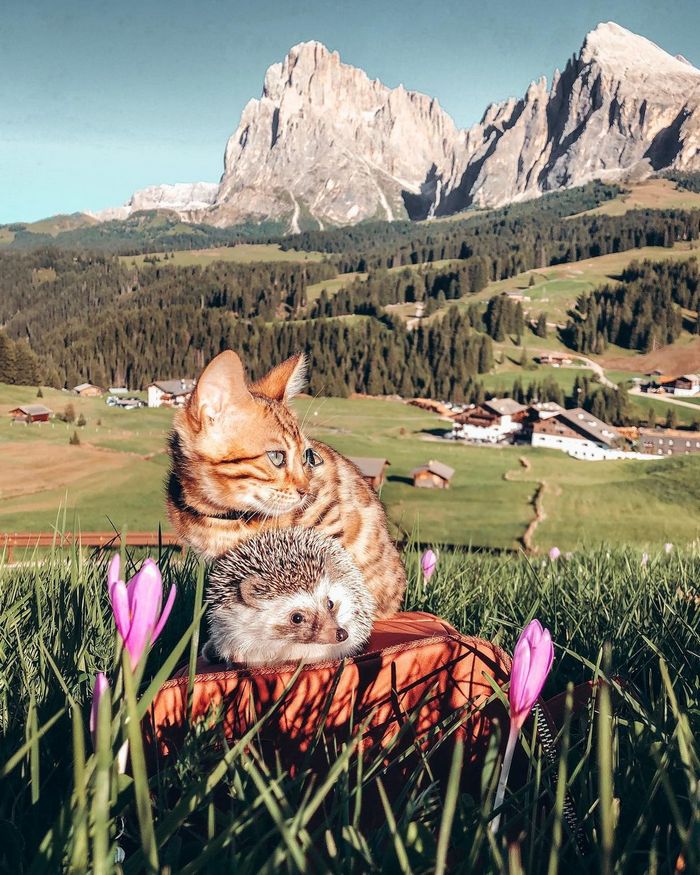 21 fotos que provam que todos podem encontrar a perfeição, mesmo nas coisas do dia a dia 21