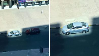 21 fotos que provam que todos podem encontrar a perfeição, mesmo nas coisas do dia a dia 8