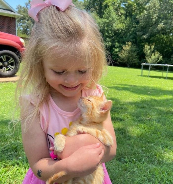 19 fotos que provam que a ligação entre humanos e animais é mais forte do que a super cola 1