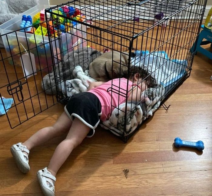 19 fotos que provam que a ligação entre humanos e animais é mais forte do que a super cola 5