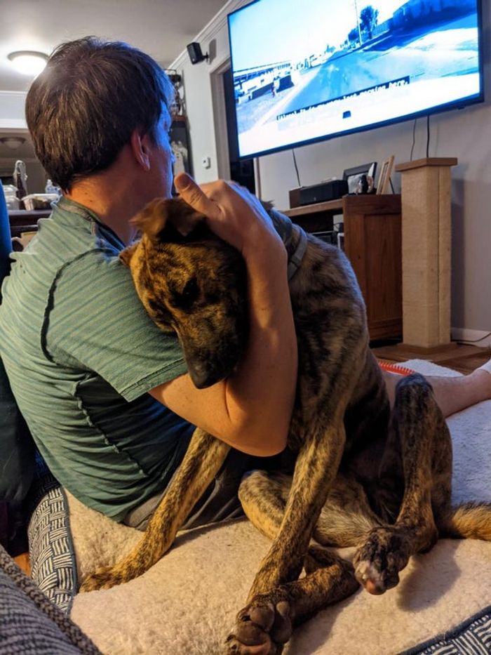 19 fotos que provam que a ligação entre humanos e animais é mais forte do que a super cola 6